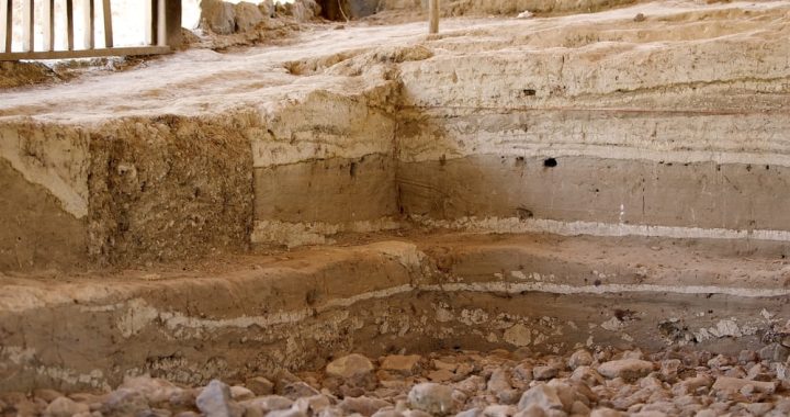 メルカ・クントゥレとバルチット：エチオピア高原地域の考古学的・古生物学的遺跡群