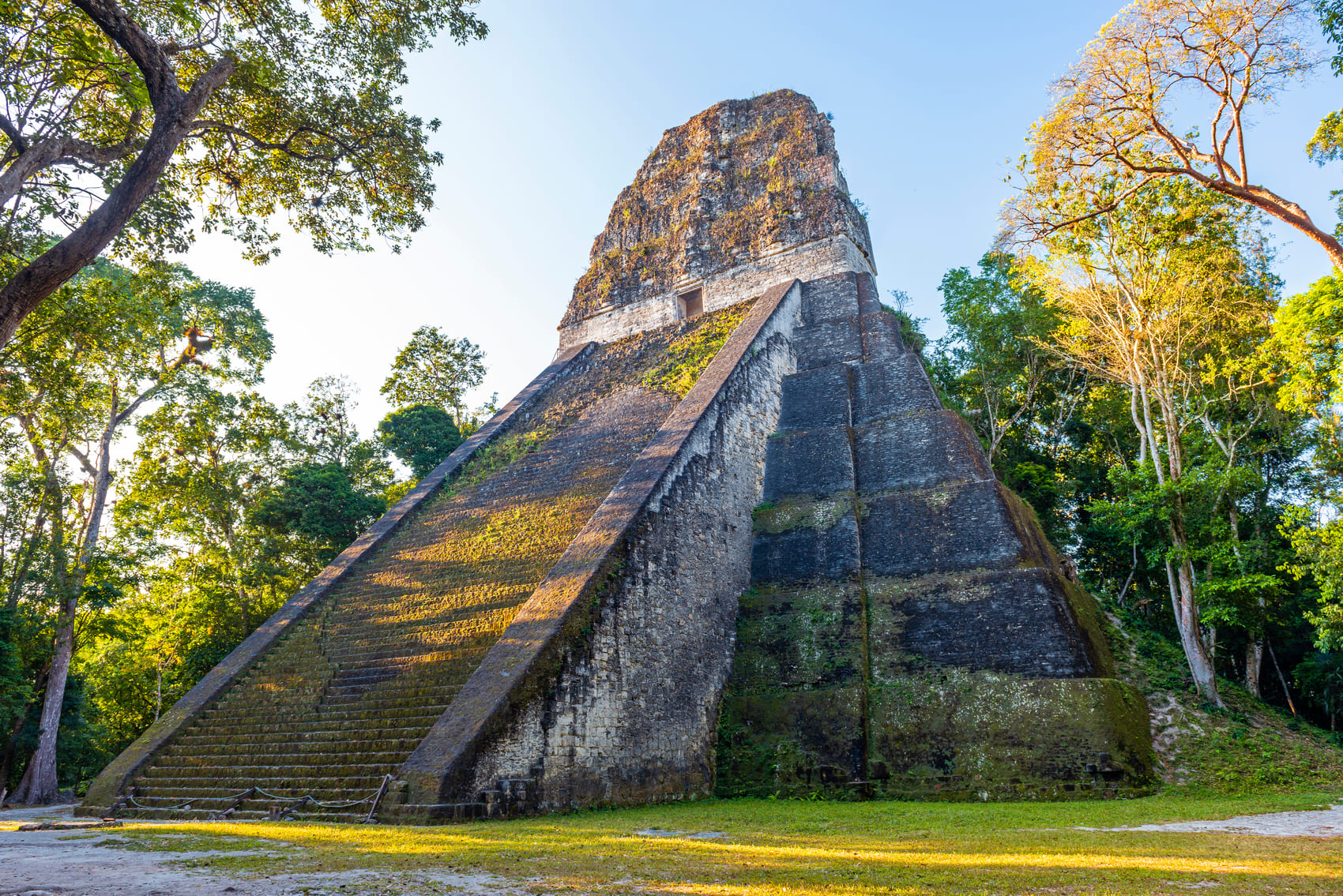 ティカル国立公園とは?世界遺産のマヤ遺跡と見どころ・アクセスを解説 / 世界遺産クエスト
